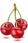 Shiny Red Cherries